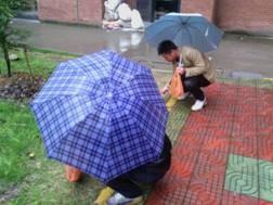 点击查看原图